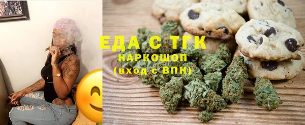 тгк Ельня